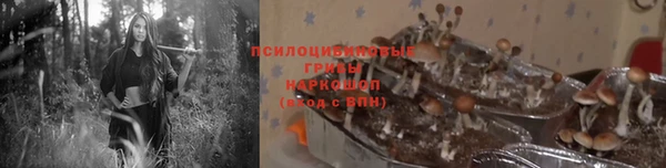 герыч Михайловск