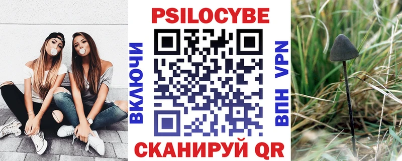 Галлюциногенные грибы Psilocybine cubensis  kraken вход  Фокино  где купить наркоту 